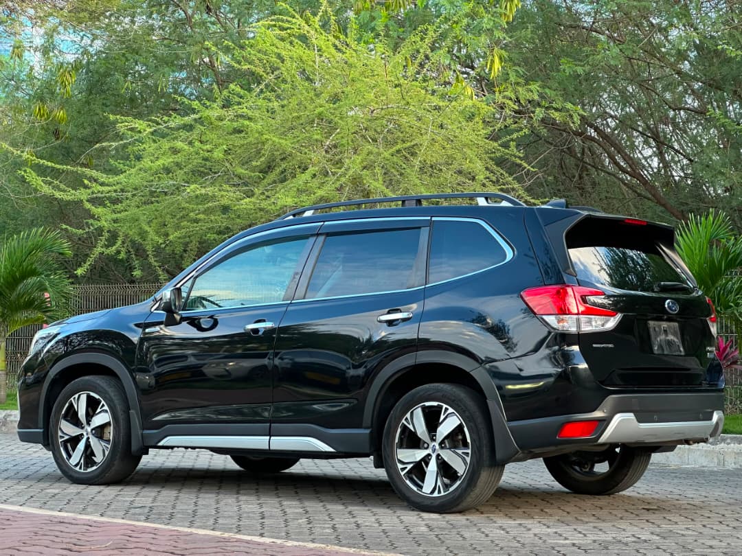 FORESTER SKE POWER & CLASS thumbnail 3
